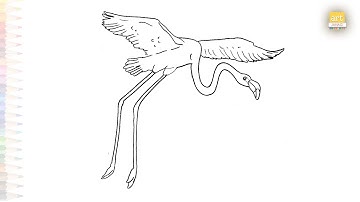 Flying flamingo drawing easy | Bird drawing tutorial | How to draw A flamingo step by step