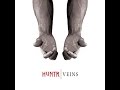 Huntr  veins audio