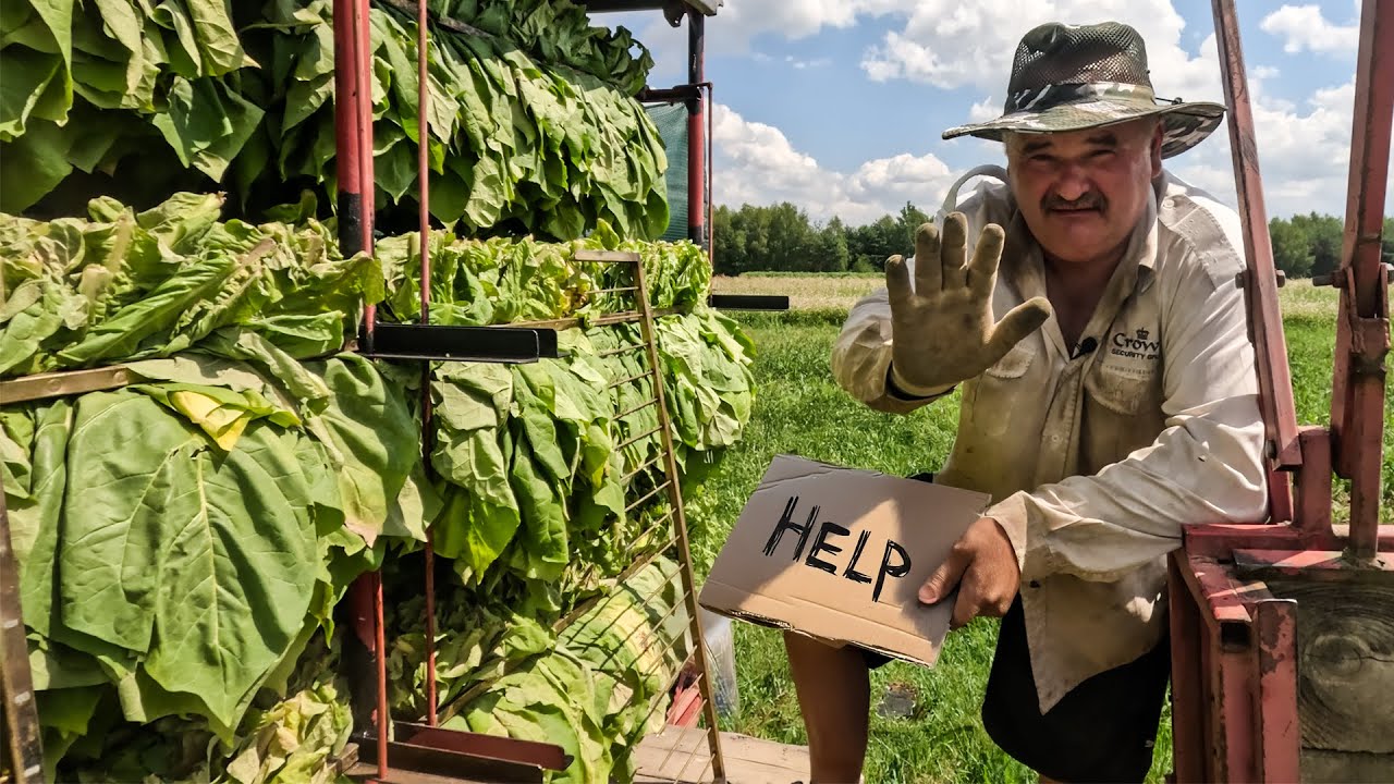 PIERWSZE ZBIORY TYTONIU 2025 - ZMIENIAMY SPOSÓB PRACY