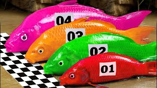 Stop Motion Cooking ASMR Colorful Koi Fish Cow, ikan & Big Frog 다채로운 잉어물고기 | 거대한 개구리  무지개 메기/ 스톱 모션