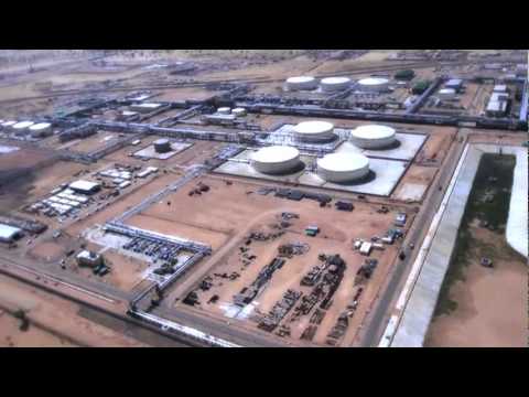 Rajasthan Cairn in action 2012 - video from Capricorn