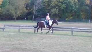 VID 20121021 160023