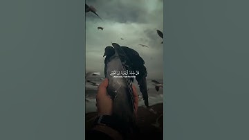 واذ قال ابراهيم ربي ارني كيف تحيي الموتى | القارئ عبد الرحمن مسعد #قرآن