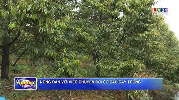 Nông dân với việc chuyển đổi cơ cấu cây trồng | LONG AN TV