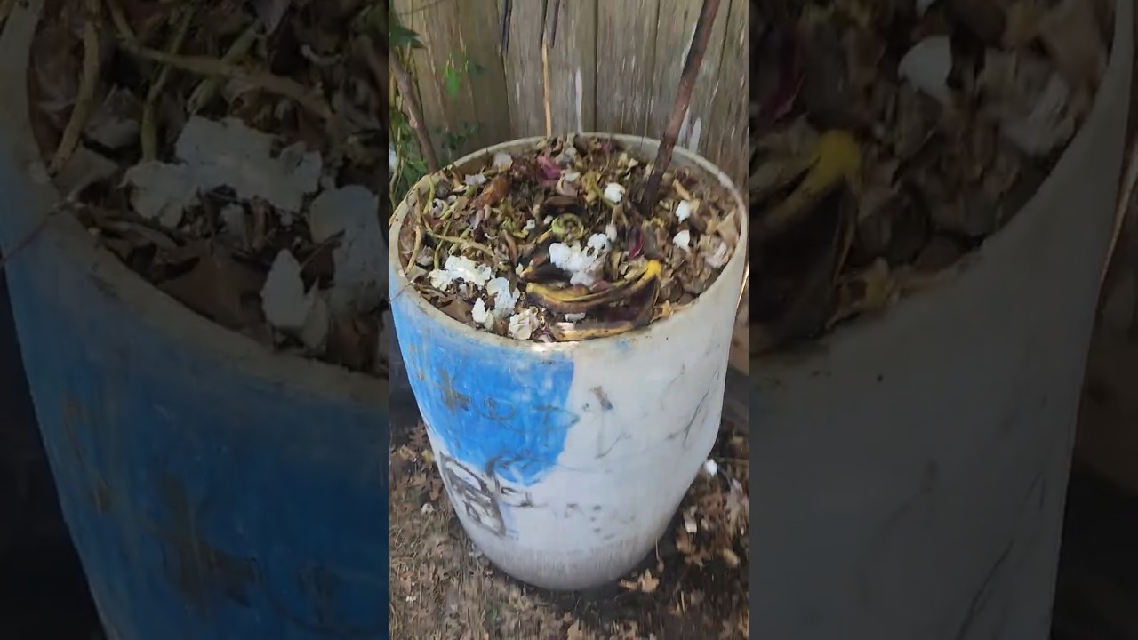 My Large Compost Bin. 