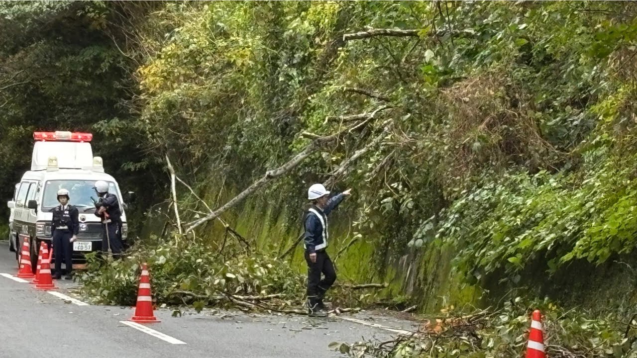 また倒木で国道206号が通行規制 最大2キロ渋滞、強風の影響か【長崎