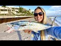 Mackerel CATCH, CLEAN & COOK Holiday Fish Dip! Bonus SNIPE HUNT!