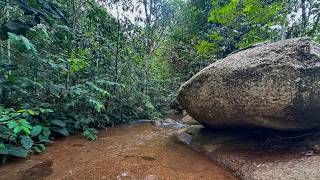 Exploring a stream in the Brazilian interior