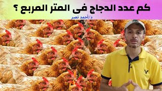 عدد الدجاج فى المتر المربع | الكثافة العددية للطيور | تربية ورعاية الدواجن