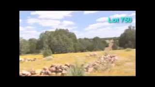 80 acres northern arizona land for sale ...