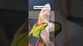 قرش بحر طفش بحار سفر الدمام السعودية الخليج مصر الصيد  شورت sea babyshark seaman