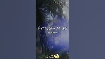 سورة القارعة بصوت الشيخ أبو أنس شمس الدين