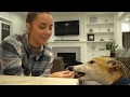 Bunny being a cute little horse for 4 minutes straight - Jenna Marbles edit