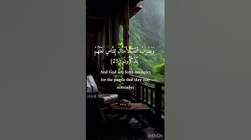 (أَلَمۡ تَرَ كَيۡفَ ضَرَبَ ٱللَّهُ مَثَلٗا كَلِمَةٗ طَيِّبَةٗ)سورة ابراهيم للشيخ ياسر الدوسري