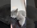 ママの背中の上で😂