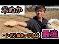 【米ぬか】の使い方。メリットデメリットとは？徹底解説