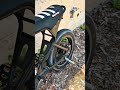 plants 🪴 #automobile #surron #ebike #bikelife #starkvarg #supermoto #eridepro #lbx #ultrabee #socal
