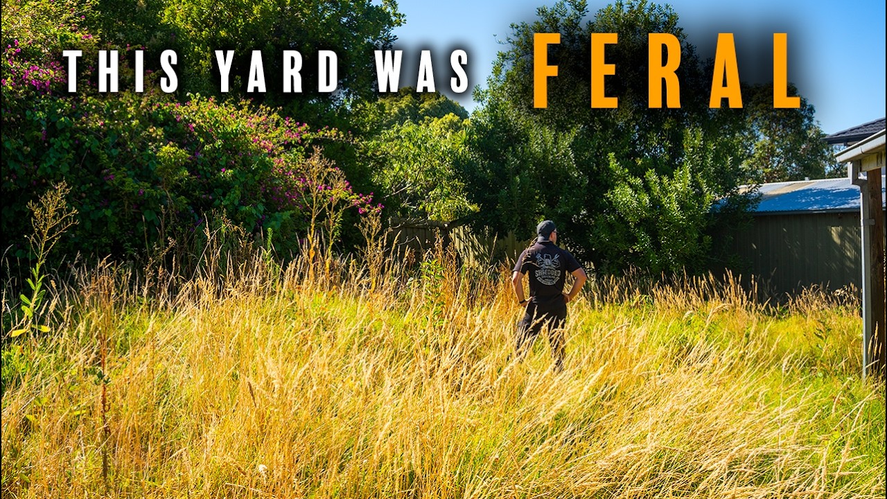 His Lawn Hadn't Been Touched In Over A Year...