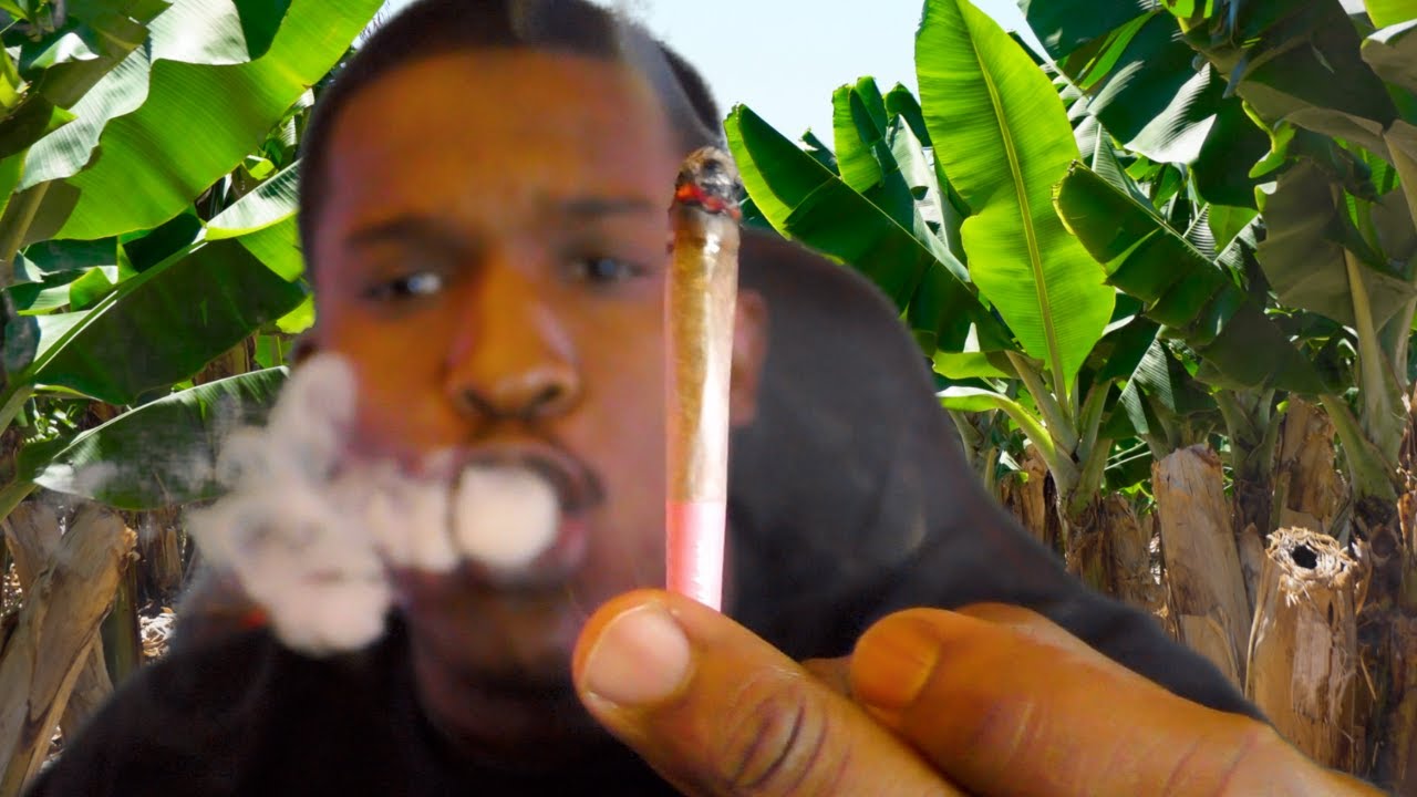 THC-O Packed in a Cone/ Does It Get a Real Stoner High?