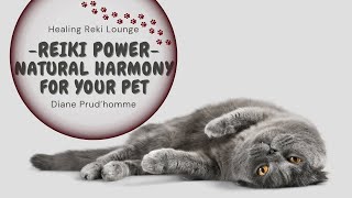 Healing Reiki Lounge | Reiki Power - Natural Harmony for Your Pets | Diane Prud’homme