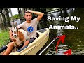 Saving my goats from... THE FLOOD!! | Blake'sExoticAnimalRanch