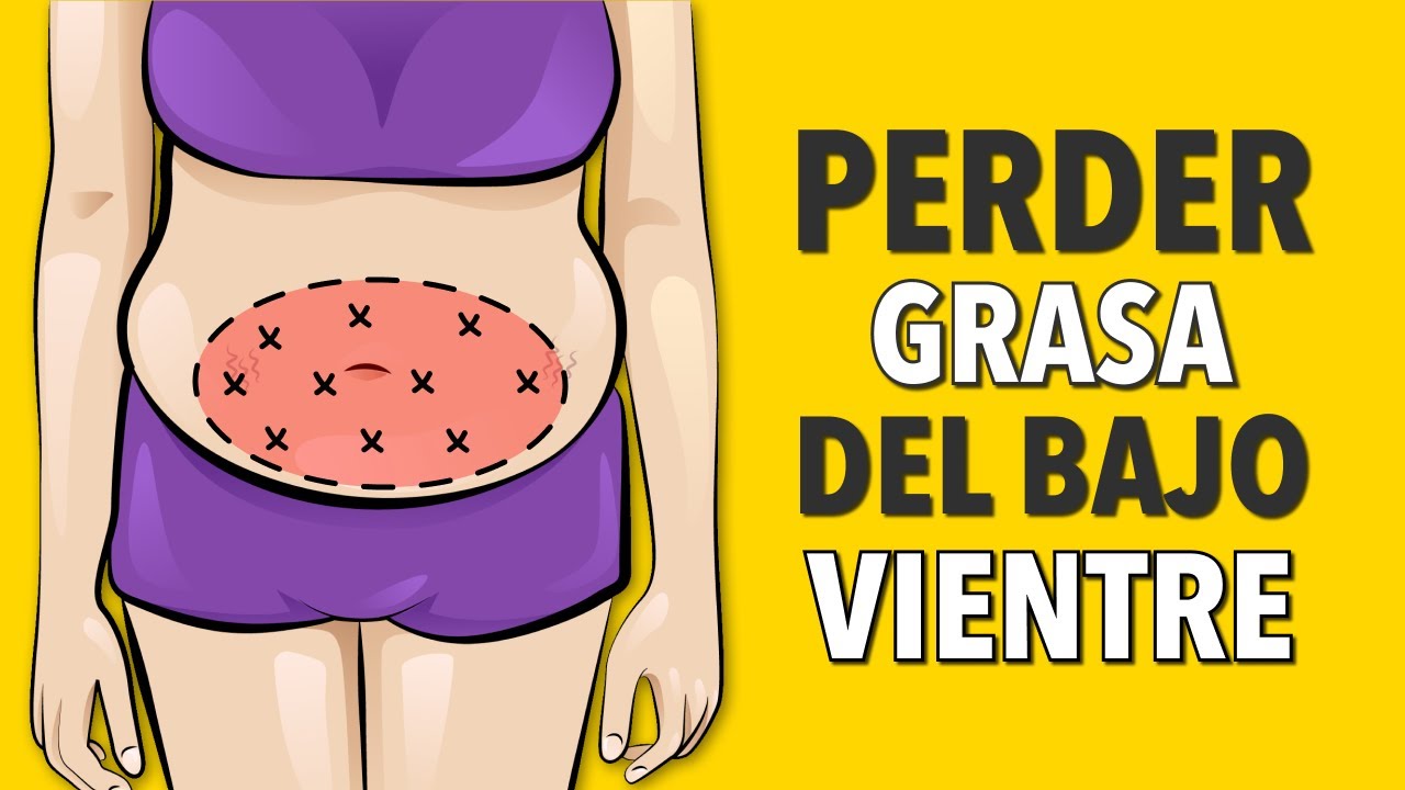 ENTRENAMIENTO PARA PERDER GRASA DEL BAJO VIENTRE - ABS Y CARDIO PARA  RESULTADOS RÁPIDOS 