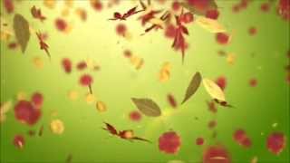 Parijat Forgiving, Grace Music For Healing And Meditation (8 Min) Parijat Forgiving, Grace Music For Healing And Meditation (8 Min)