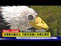 【CNN精選】海廢變成藝術品 夾腳拖瓶蓋化身繽紛雕塑｜TVBS新聞 @TVBSNEWS01