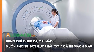 ĐỪNG CHỈ CHỤP CT, MRI NÃO: MUỐN PHÒNG ĐỘT QUỴ PHẢI “SOI” CẢ HỆ MẠCH MÁU