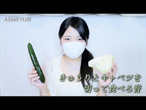 【音フェチ】きゅうりとキャベツを切って盛って食べる【ASMR】