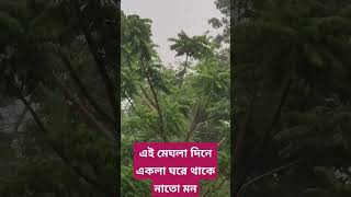 এই মেঘলা দিনে একলা ঘরে