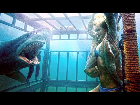 क्या फिल्म मेग की ये शार्क आज भी जिंदा है | Could Megalodon Still Live In The Deep Ocean| The Meg