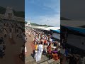 tirumal tirupati balaji Darshan #ttd #hindutemple #travel
