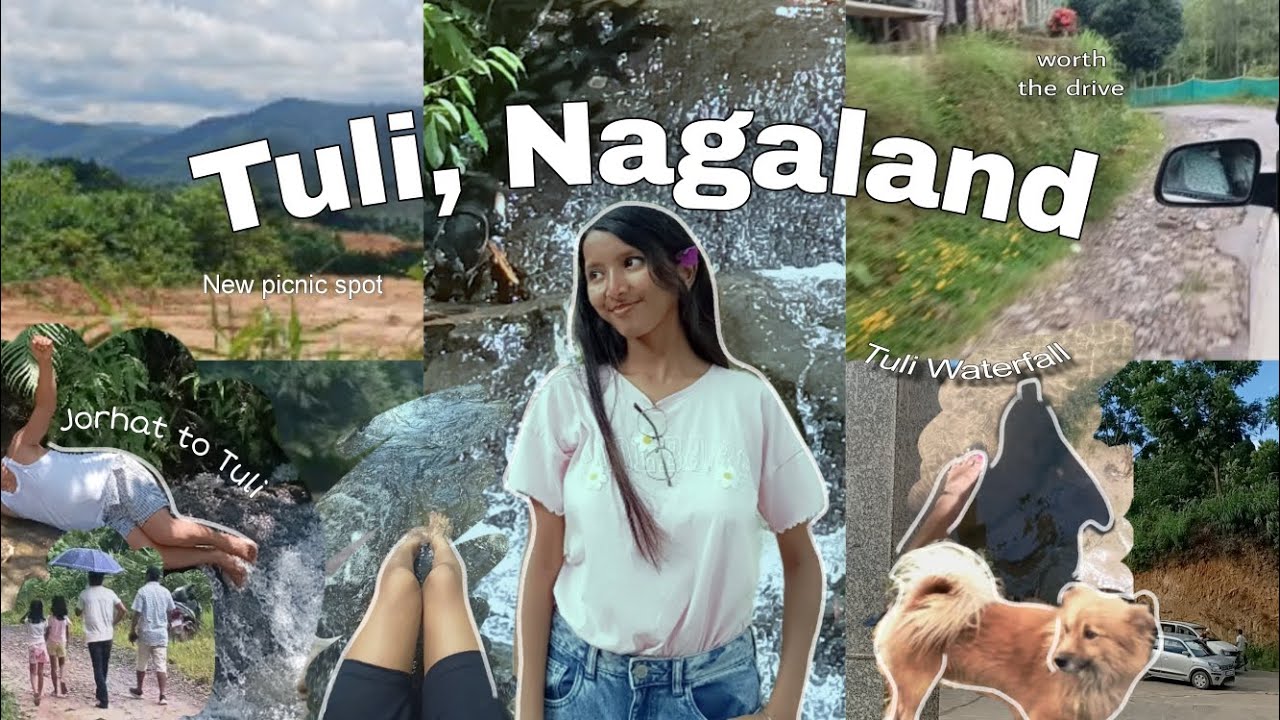 Spent a day in Tuli, Nagaland🏞️🍃| Nagaland | Picnic spot | Jorhat to Tuli