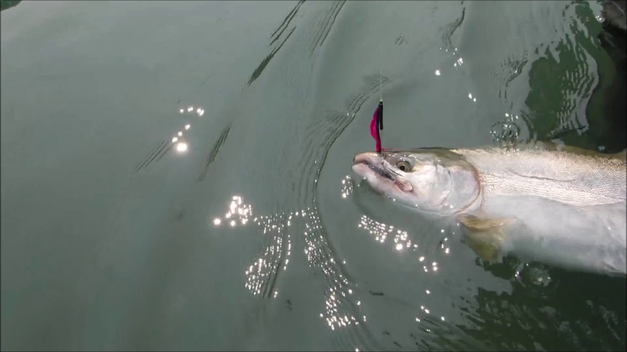 Fishing Kitimat River 2018 YouTube