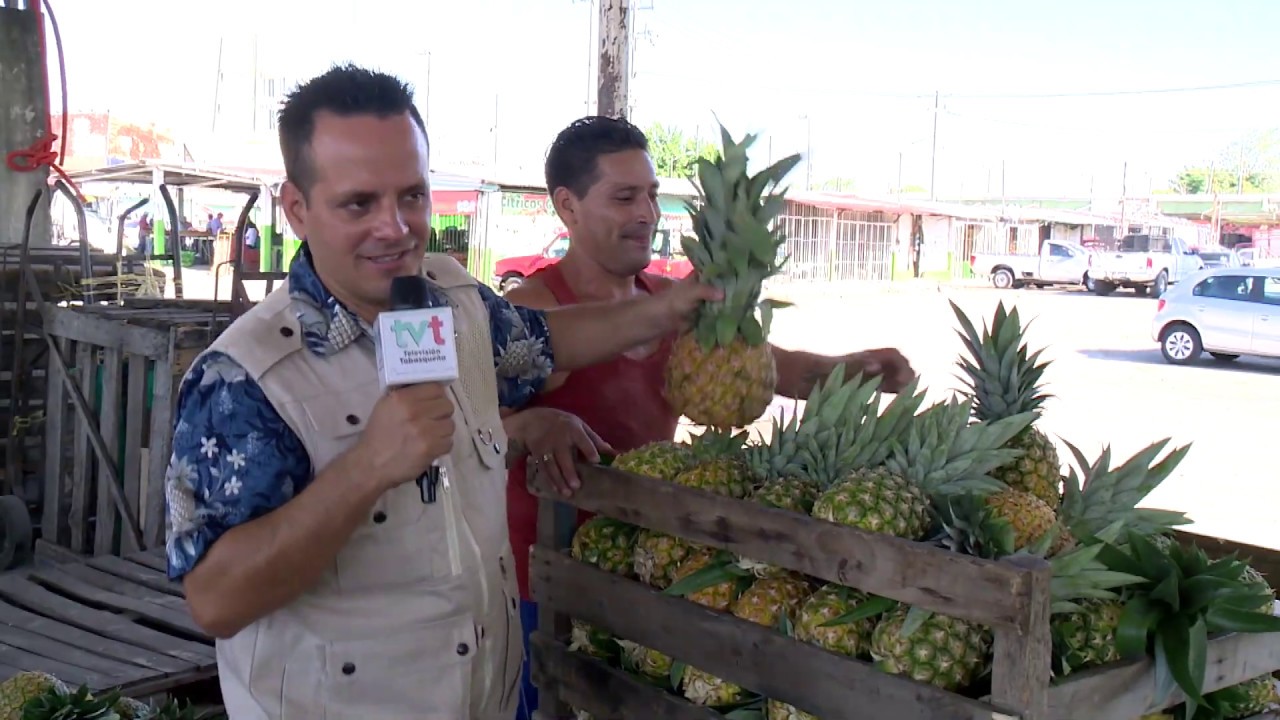 La Piña Miel y Piña Cabezona, Central de Abasto, Centro, Tabasco - YouTube