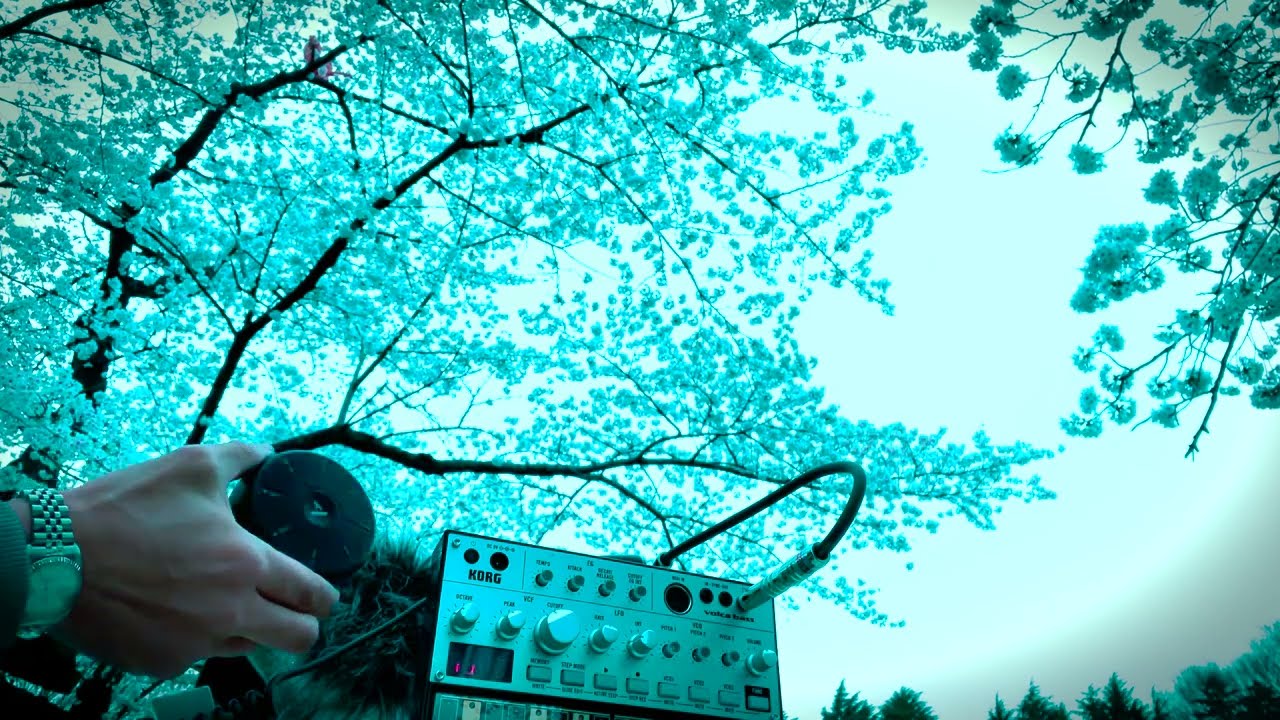 orba  korg volcabass jam sakura2 曇り空　orbaloops