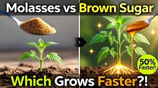 Molasses vs Brown Sugar: The Fertilizer Hack That Makes Plants Grow 50% Faster!