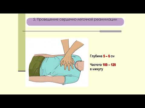 Учебный фильм 2
