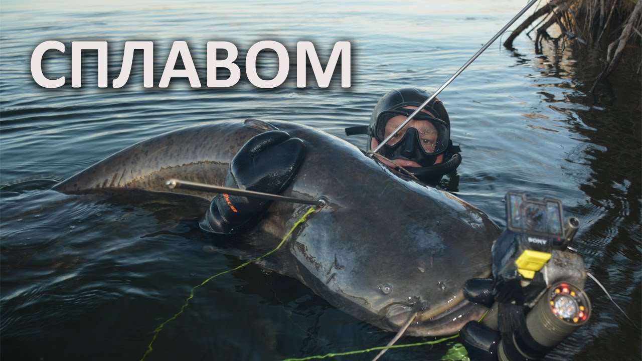 Подводная охота сплавом