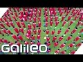 Fussballinternat in China | Galileo | ProSieben