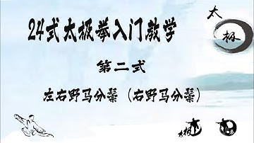 二十四式太极拳入门教学【第二式:右野马分鬃】Twenty-four forms of TaiChi 【No.2】Part theWild Horse