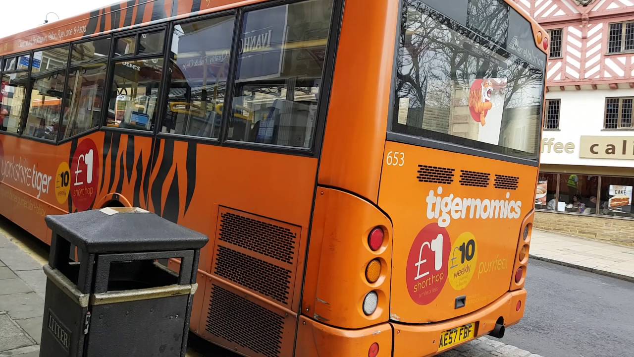 Yorkshire tiger dart refusing to move 18/05/16