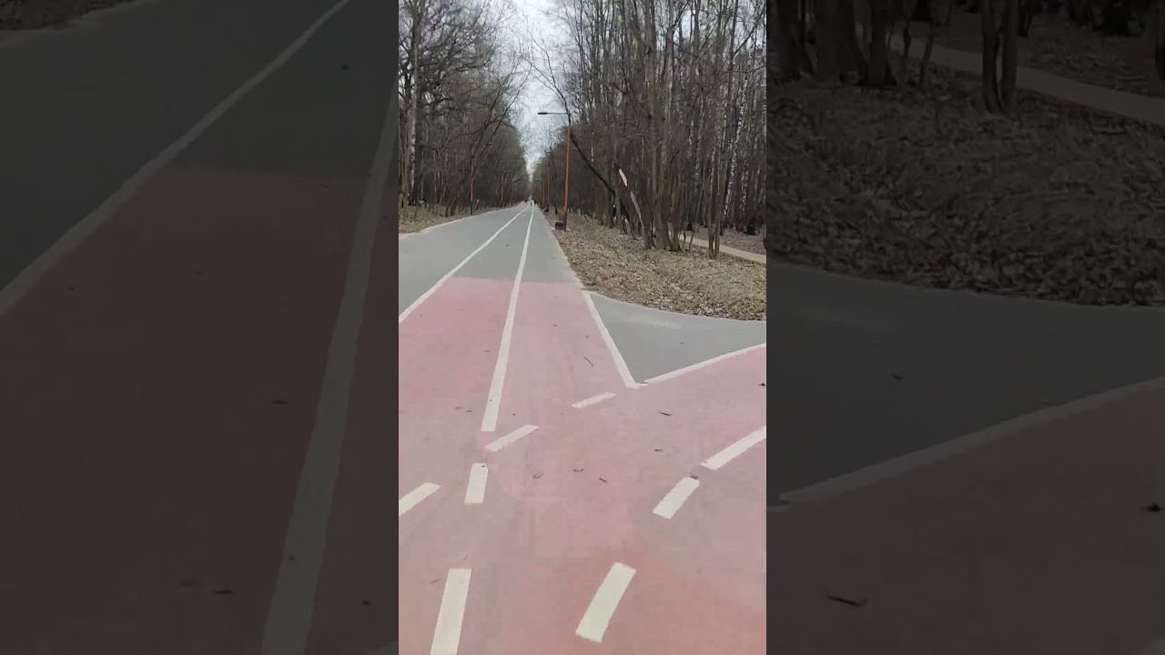 Новые велодорожки в Кусковском лесопарке