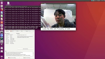 Cat and Dog classification with Deep learning Caffe