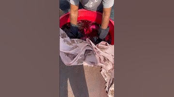 Hand Dye #event #handblockprinted #printing #tikton #trending #bagruprint #blogger #vlogger #indigo