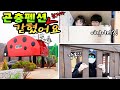 신기한 곤충 펜션에 갔다가 갇혔어요! 타임머신 타고 도착한 곳이 감옥?! 가족 일상 브이로그 vlog (feat. 삼강나루캠핑장 파브르펜션)ㅣ토깽이네