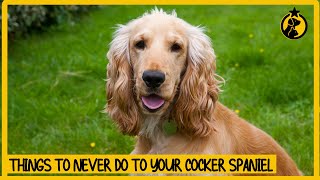 5 Things You Must Never Do to Your Cocker Spaniel Dog