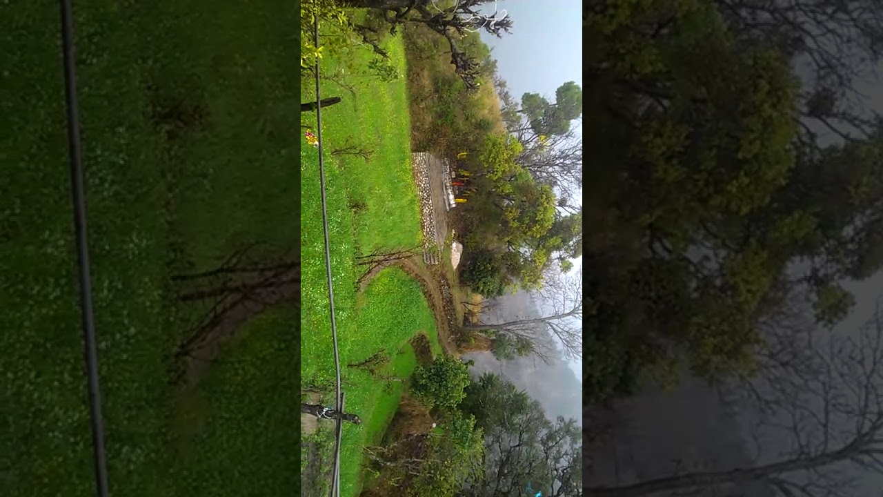 Beautiful Gadwal. Pokhar sari. Tussahr Bisht