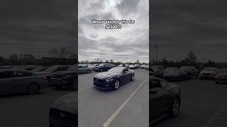 Let me know in the comment section!! #carauction #mustang #mustanggt #auction #carspotting #usa